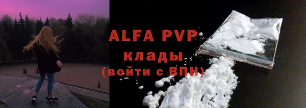 прущие грибы Кодинск