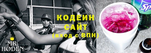 прущие грибы Кодинск
