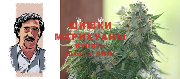 тгк Касимов