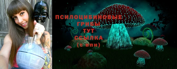 МДМА Карпинск