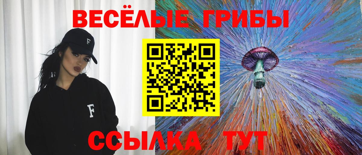 где купить наркотик  Галлюциногенные грибы GOLDEN TEACHER  Вход с VPN  Кумертау 