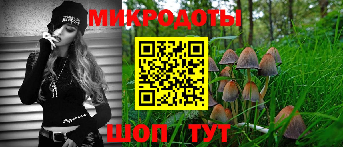 Псилоцибиновые грибы мицелий Кумертау